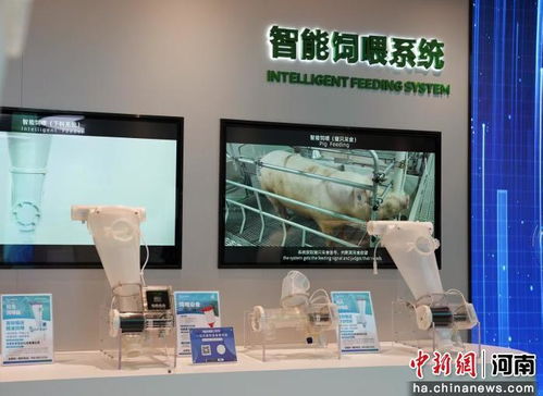 从粮仓到厨房的蜕变 河南食品民企的“圈粉”智能产品打造记